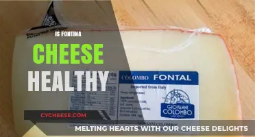 Fontina Cheese: Healthy or Harmful?