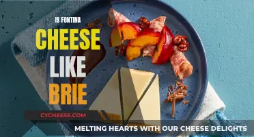 Fontina and Brie: A Cheesy Comparison