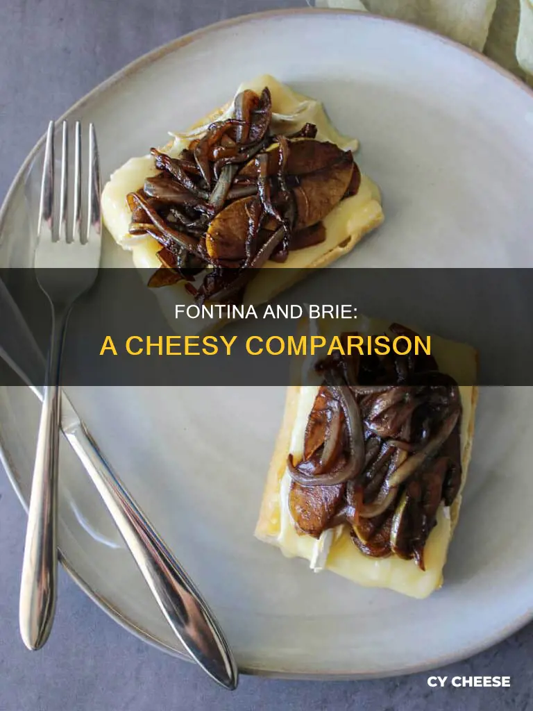 is fontina cheese like brie