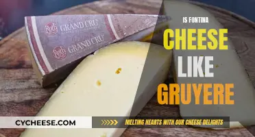 Fontina and Gruyere: Similar Cheeses, Different Personalities