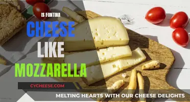 Fontina and Mozzarella: Similar Cheeses, Different Taste