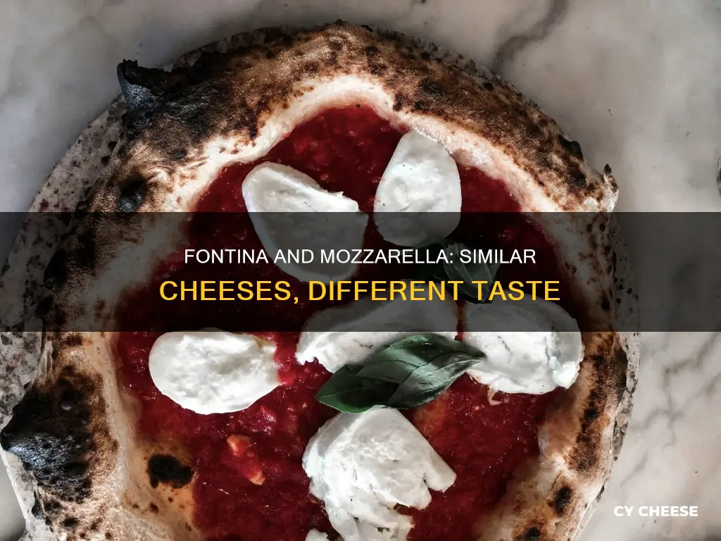 is fontina cheese like mozzarella