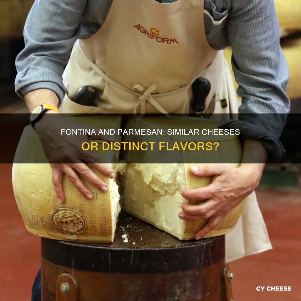 is fontina cheese like parmesan