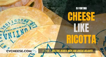 Fontina and Ricotta: Similar Cheeses or Distinctly Different?