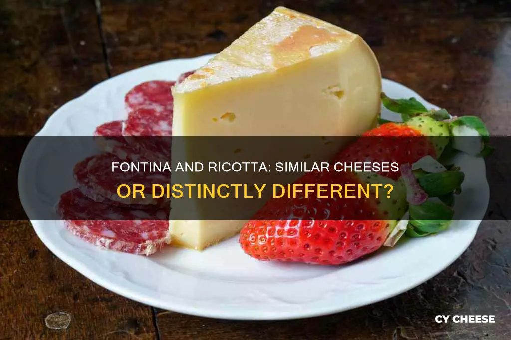 is fontina cheese like ricotta