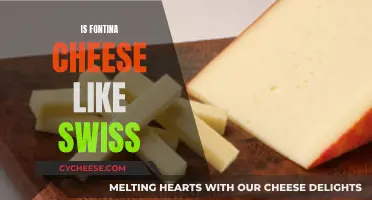 Fontina and Swiss Cheese: Similar or Different?