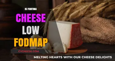 Is Fontina Cheese Low FODMAP? A Digestive-Friendly Cheese Guide