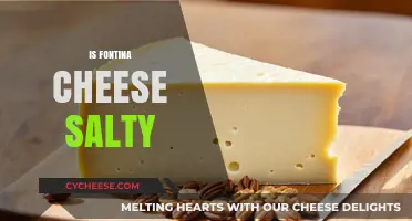 Is Fontina Cheese Salty? Exploring Its Flavor Profile and Uses