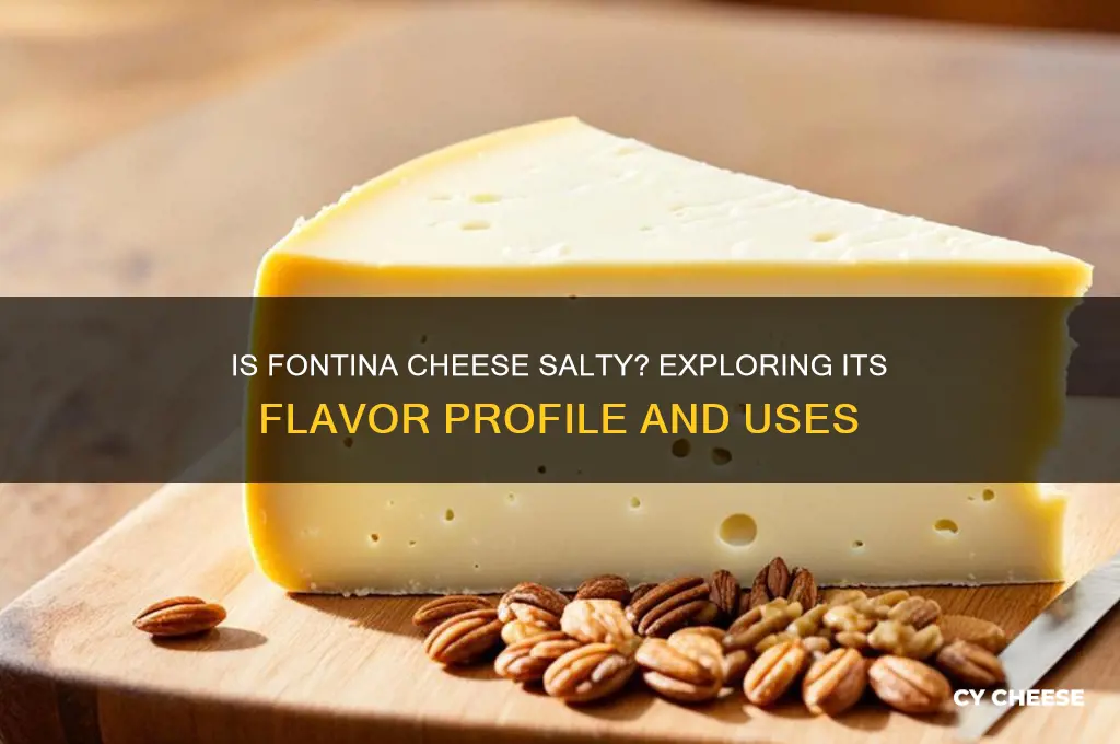 is fontina cheese salty