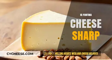 Is Fontina Cheese Sharp? Exploring Its Unique Flavor and Texture