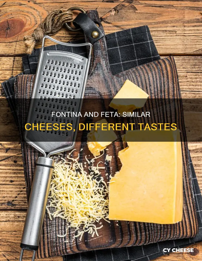 is fontina cheese similar to feta