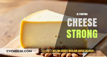 Is Fontina Cheese Strong? Exploring Its Flavor Profile and Intensity