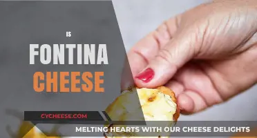 Is Fontina Cheese Right for Your Recipe? A Tasty Exploration
