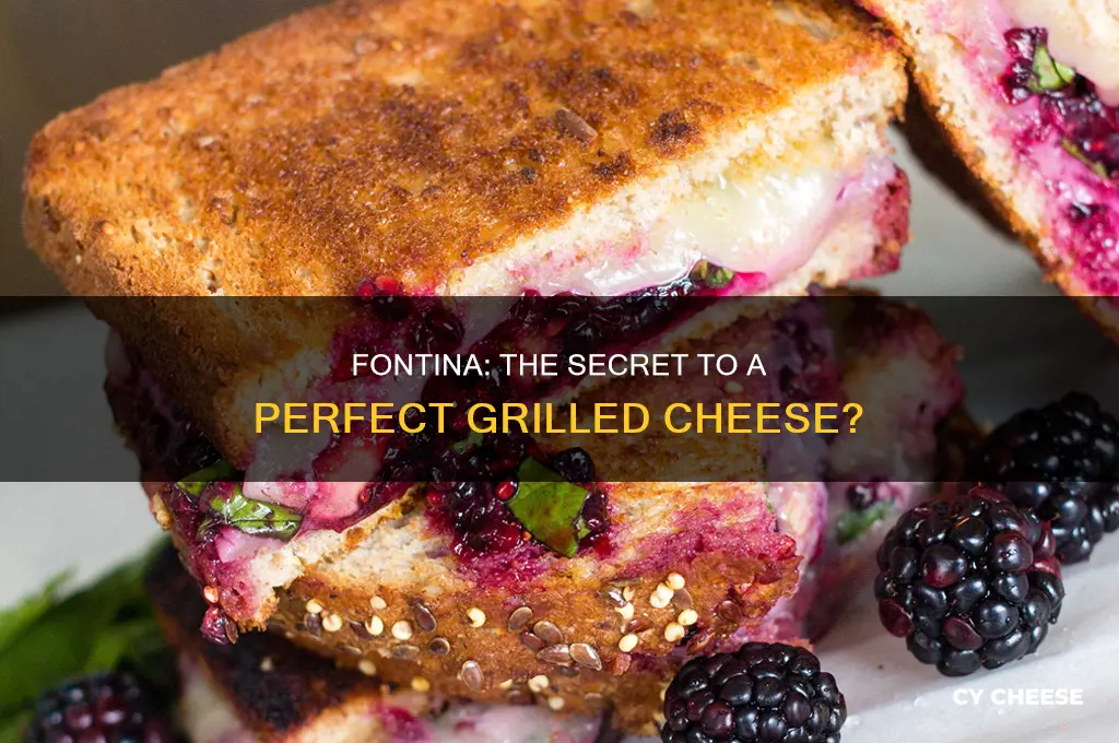 is fontina good for grilled cheese