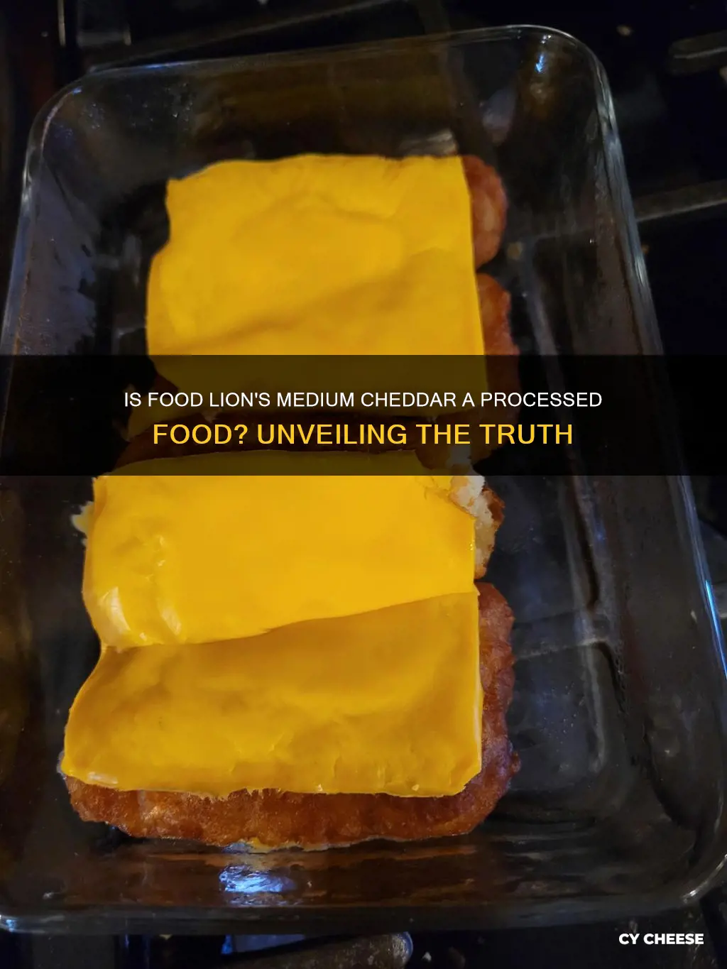 is food lion medium cheddar cheese a processed food