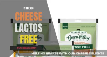 Fresco Cheese: Lactose-Free Superfood?