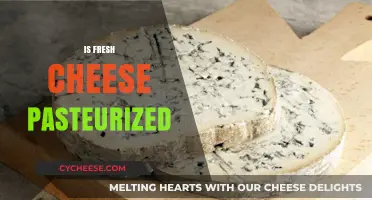 Is Fresh Cheese Pasteurized? Understanding Safety and Production Methods