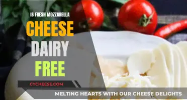 Fresh Mozzarella: Is It Dairy-Free Cheese?