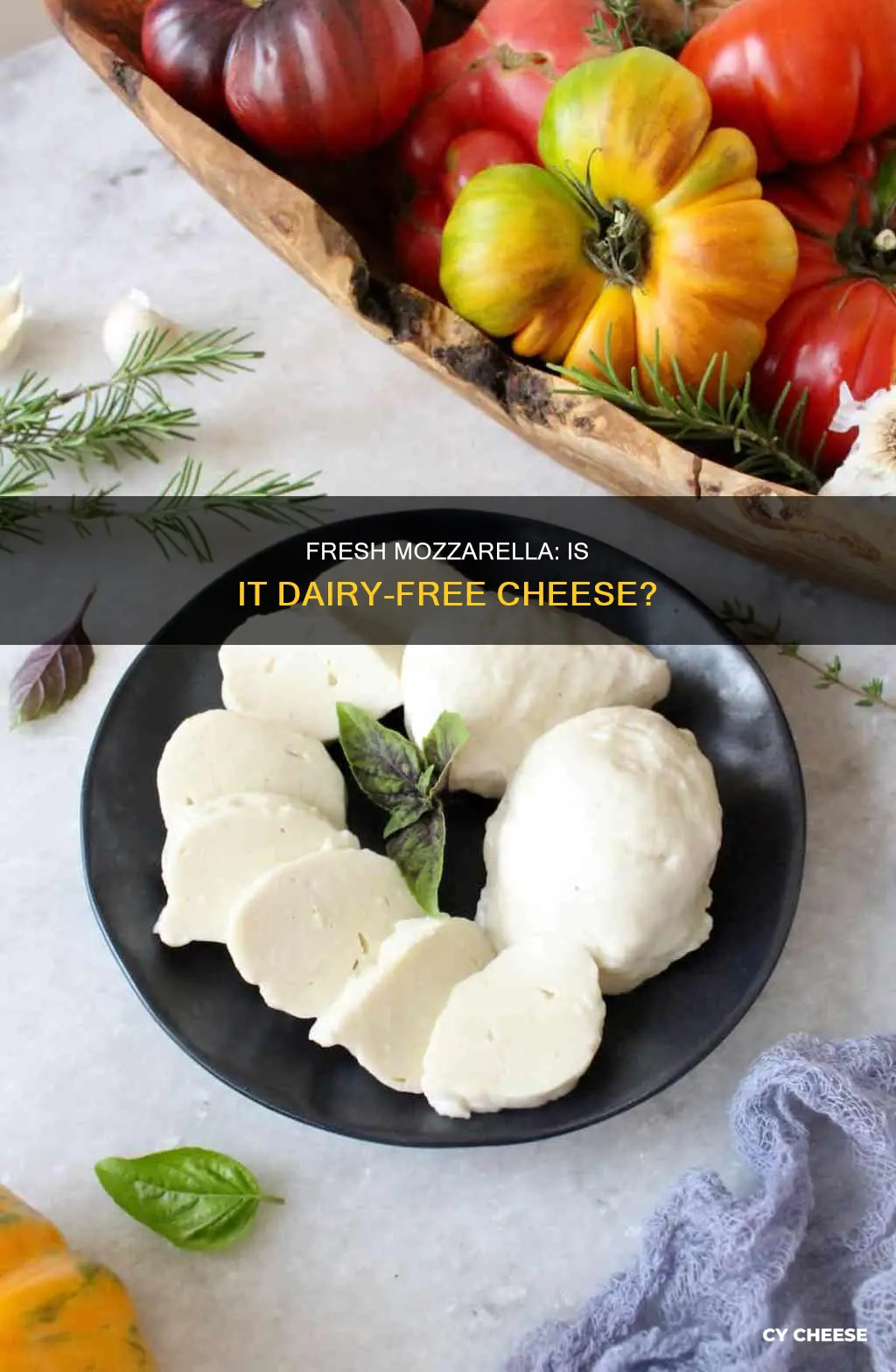 is fresh mozzarella cheese dairy free
