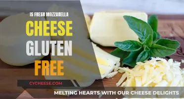 Mozzarella Cheese: Gluten-Free or Not?