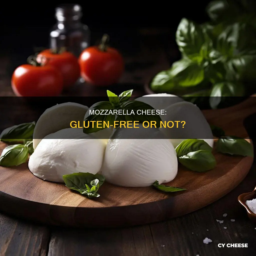 is fresh mozzarella cheese gluten free