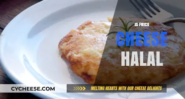 Is Frico Cheese Halal? Exploring Ingredients and Certification