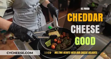 Cheddar Cheese: Frying Enhances the Taste