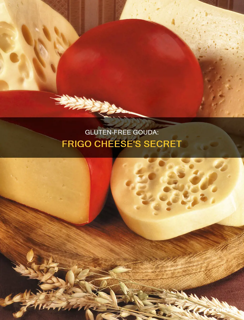 is frigo gouda stting cheese gltuten free