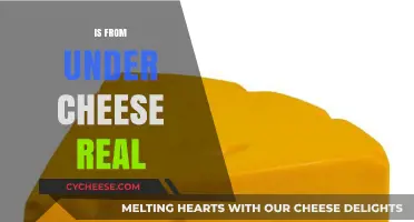 Is From Under Cheese Real? Unraveling the Myth and Facts