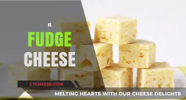 Is Fudge Cheese a Myth or a Delicious Reality?