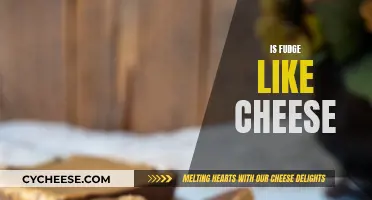 Fudge and Cheese: Similarities and Differences
