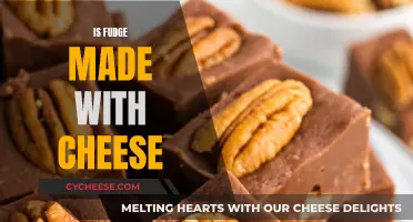 Cheese in Fudge: A Tasty Combination?