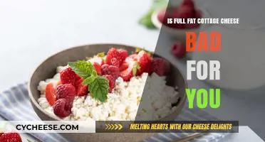 Full Fat Cottage Cheese: Healthy Choice or Harmful Indulgence?