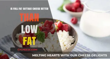 Full Fat vs. Low Fat Cottage Cheese: Which is Healthier?