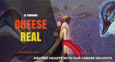 Is Fumunda Cheese Real? Unraveling the Myth Behind the Joke