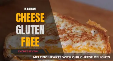 Gluten-Free Galbani Cheese: What You Need to Know