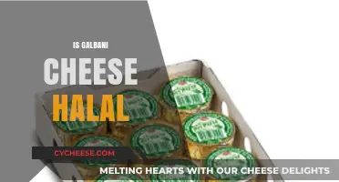 Is Galbani Cheese Halal? A Comprehensive Guide for Muslim Consumers