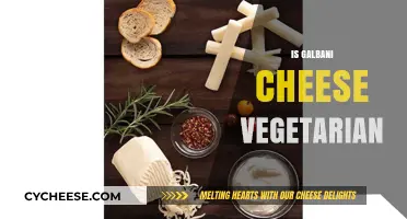 Is Galbani Cheese Vegetarian? A Comprehensive Guide for Cheese Lovers