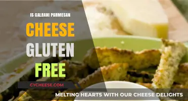 Gluten-Free Galbani Parmesan Cheese: Is It Safe?