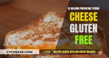 Gluten-Free Galbani Provolone String Cheese: Is It Safe?