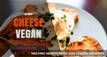 Is Goat Cheese Vegan? Exploring Dairy-Free Alternatives and Ethics
