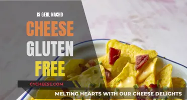 Gluten-Free Nacho Cheese: Gehl's Delicious Offerings