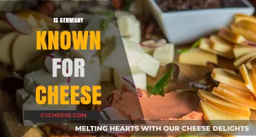 Is Germany a Cheese Haven? Exploring Its Dairy Delights