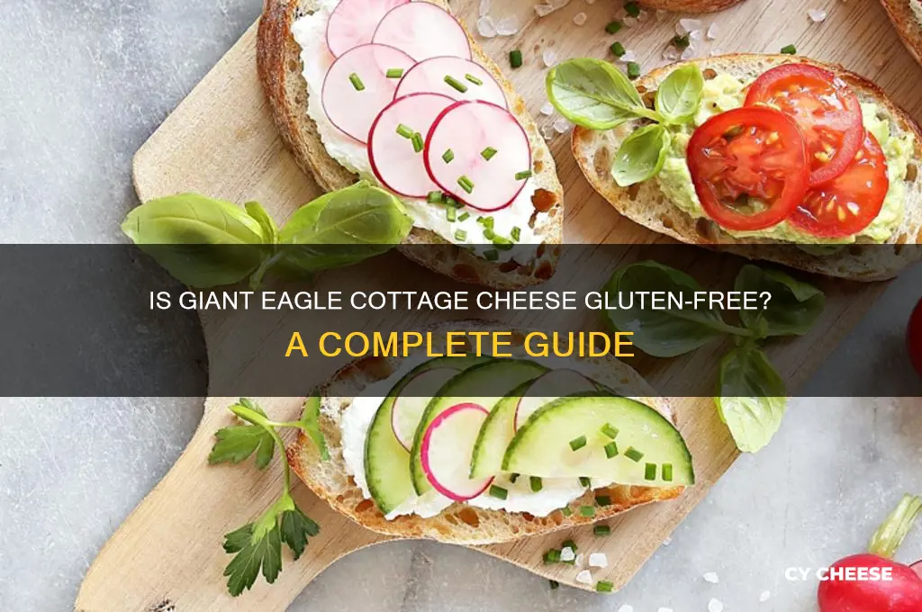 is giant eagle cottage cheese gluten free