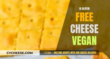 Gluten-Free Cheese: Vegan or Not?