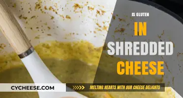 Is Gluten in Shredded Cheese? Uncovering the Truth for a Healthy Diet