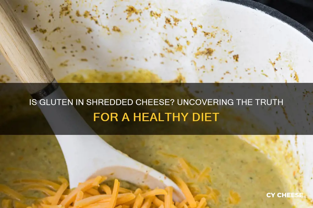 is gluten in shredded cheese