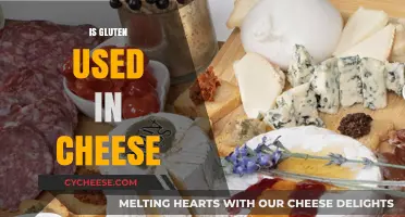 Gluten in Cheese: What You Need to Know