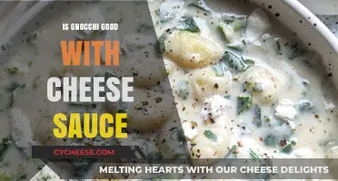 Gnocchi and Cheese Sauce: A Match Made in Heaven?