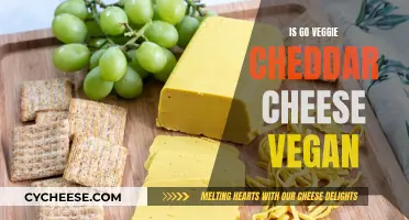 Go Veggie Cheddar: Vegan or Not? Unveiling the Truth